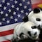 China enviará dos osos panda a Estados Unidos como gesto de amistad