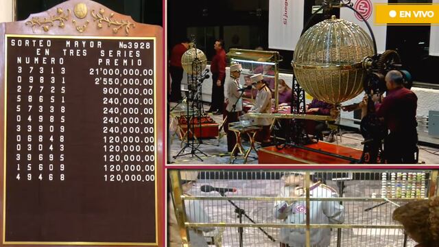Resultados Sorteo Mayor 3928 de Lotería Nacional: Ganadores de hoy 21 de mayo