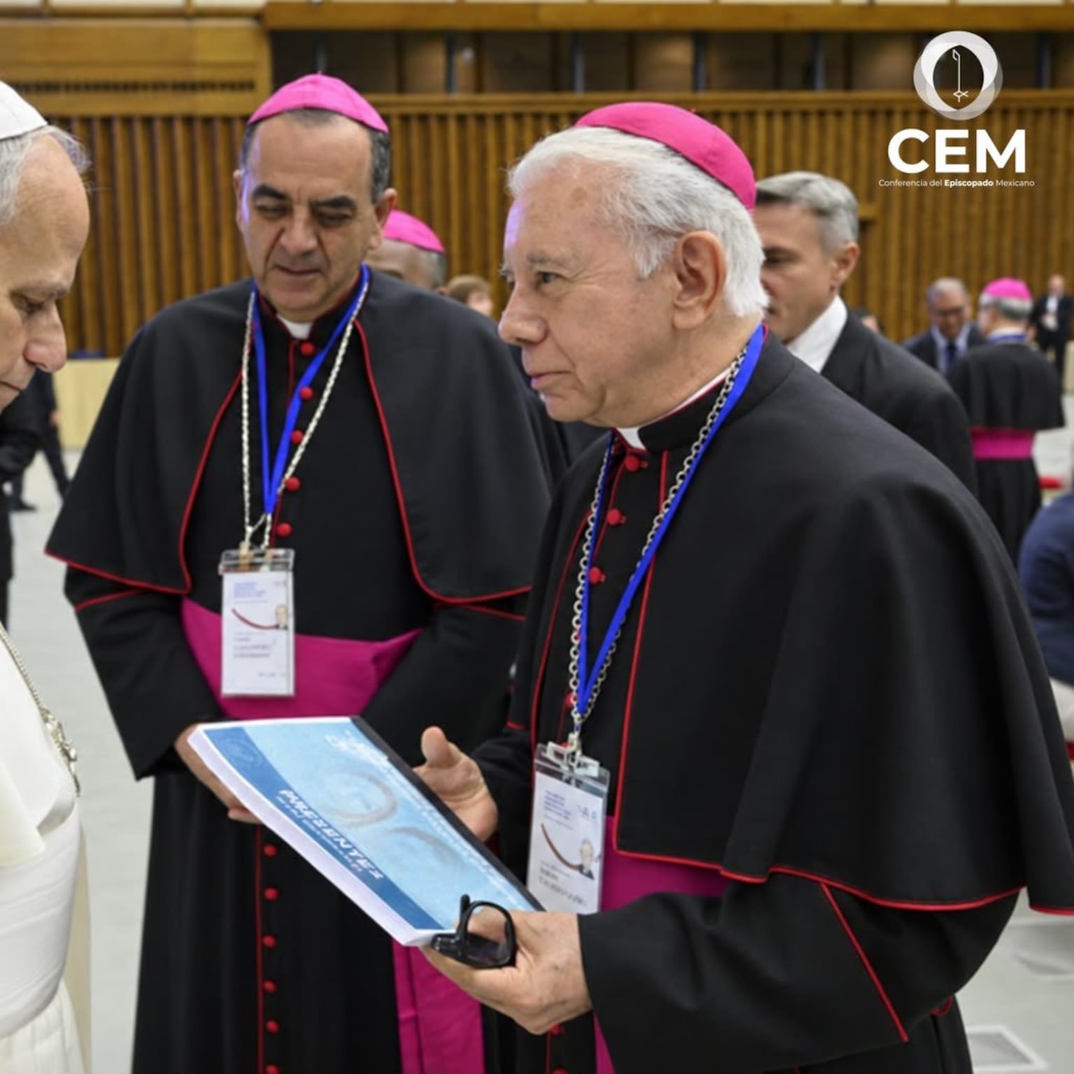 Los rostros e historias de desaparecidos en México llegan al papa León XIV