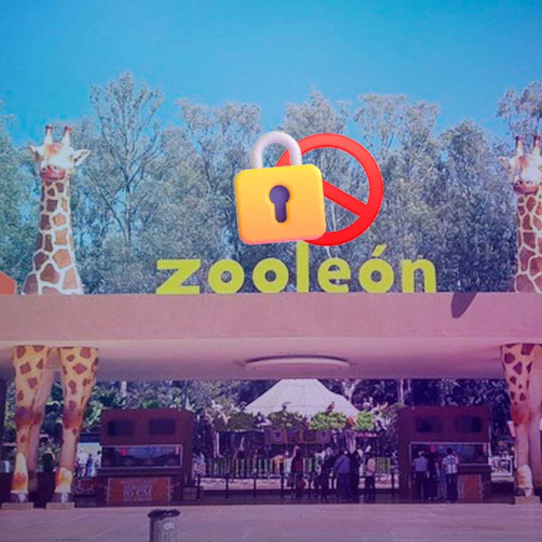 Juez ordena el cierre del Zoológico de León por casos de maltrato animal