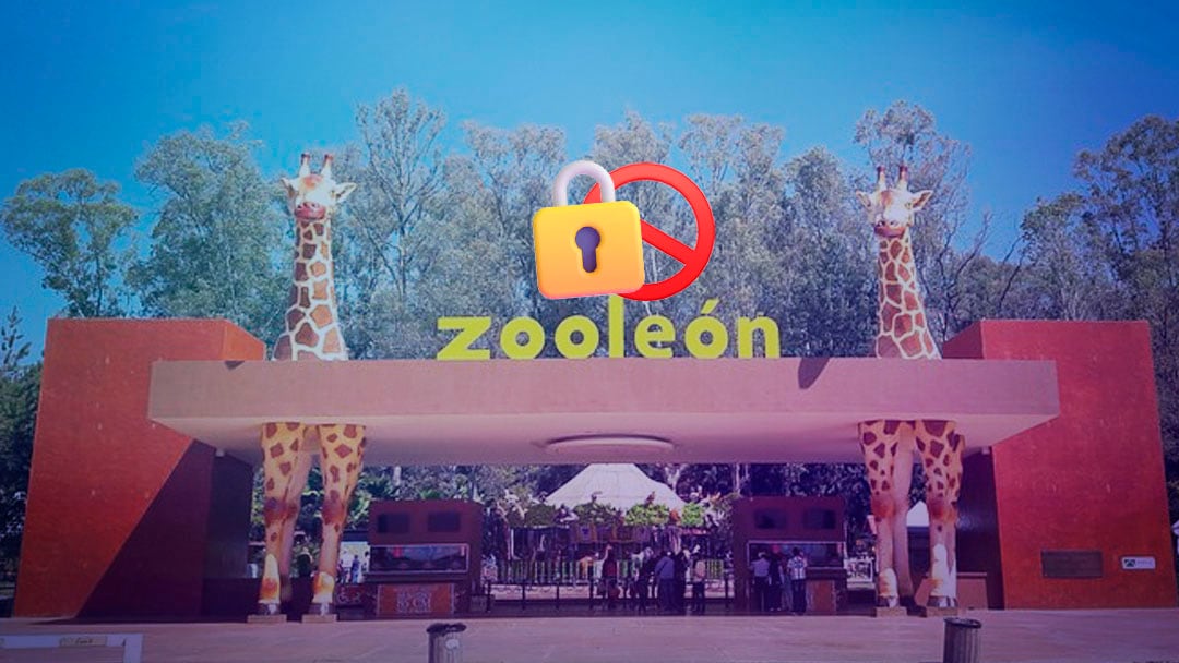 Juez ordena el cierre del Zoológico de León por casos de maltrato animal