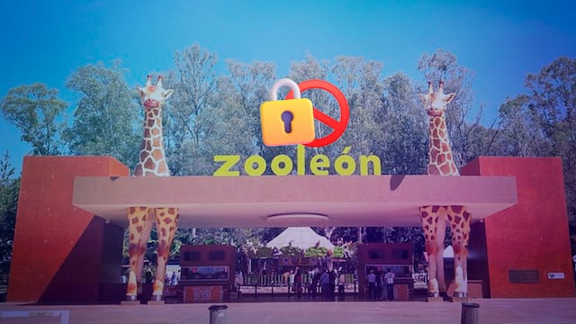 Juez ordena el cierre del Zoológico de León por casos de maltrato animal