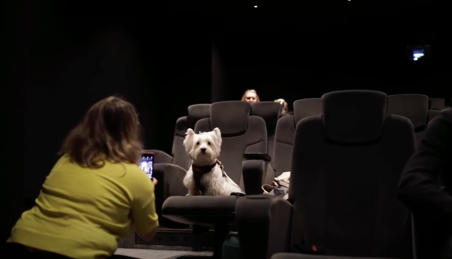 Perro en el cine