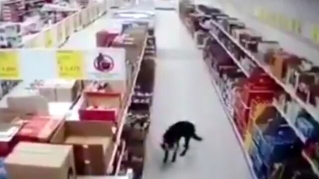 Video viral