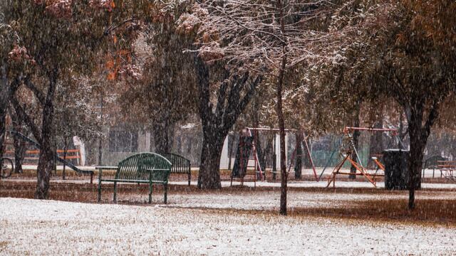 Nevada en Montemorelos