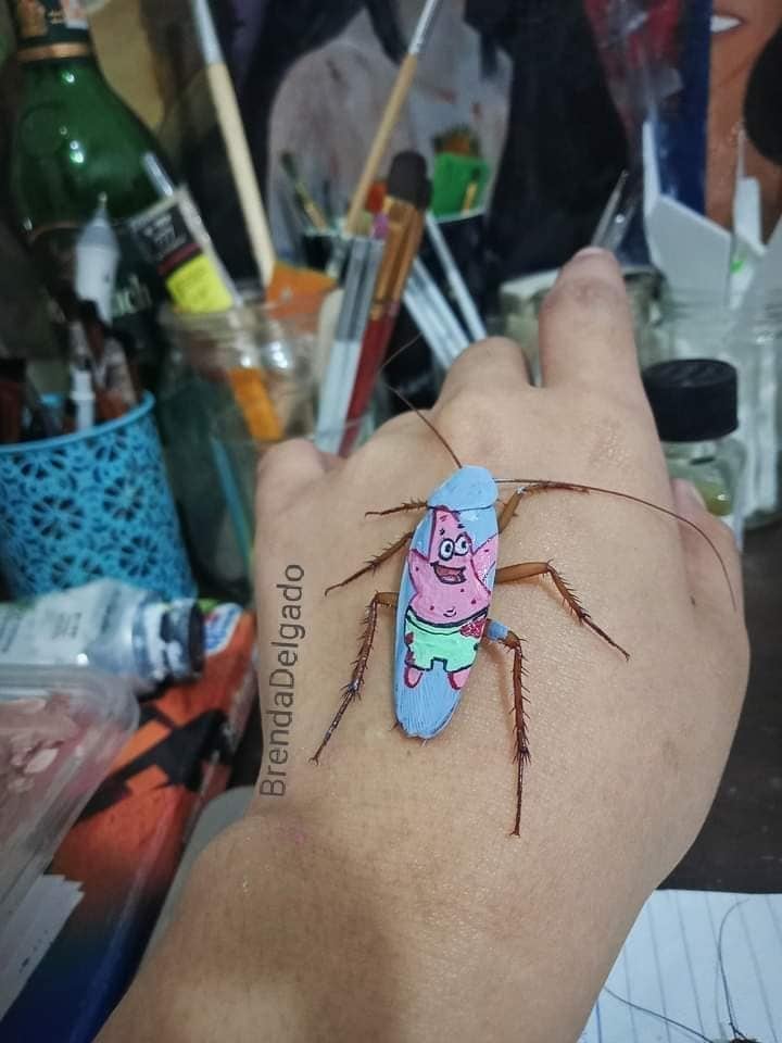 Arte en Cucarachas