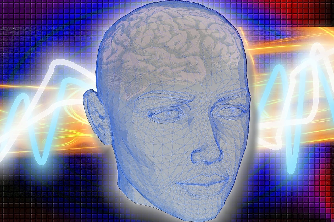 Cerebro humano