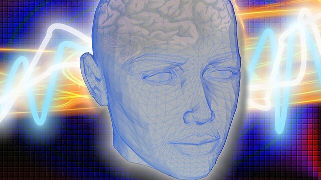 Cerebro humano