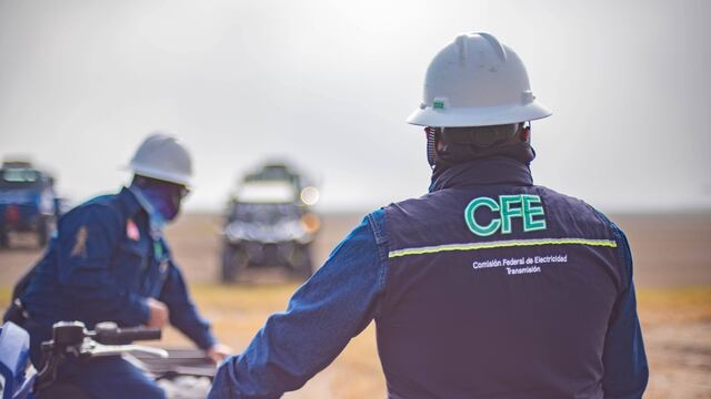 CFE ante ola de calor