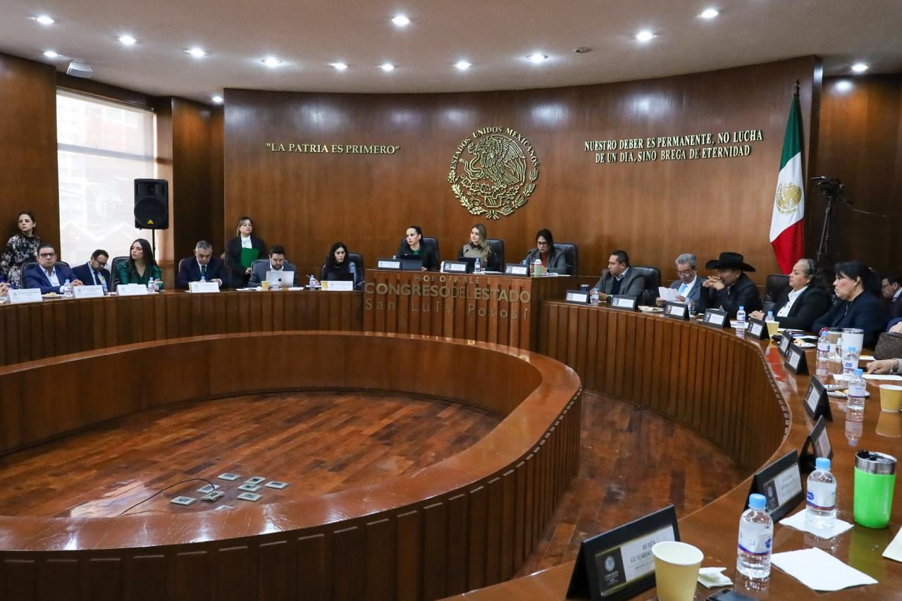 Ariana García, titular de la Sefin