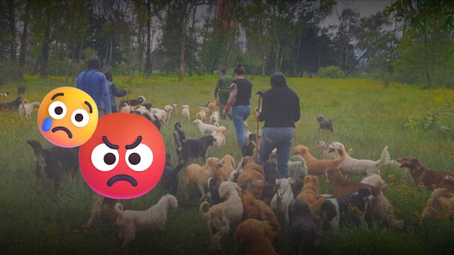 Refugio Franciscano denuncia muerte de animales