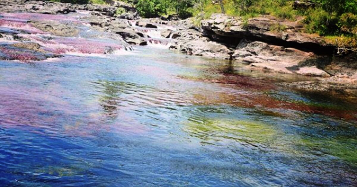 Este apacible río de 5 colores espera tu visita