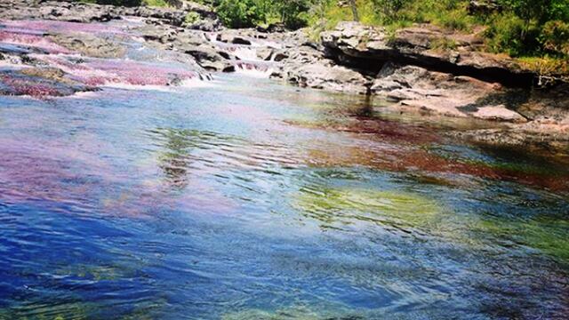 Caño Cristales