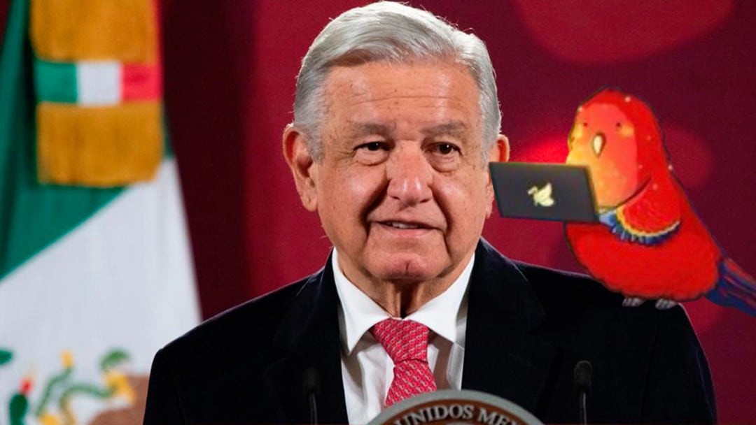 Guacamaya Hackers abre cuenta de Twitter y amenaza al gobierno de AMLO con un polémico mensaje