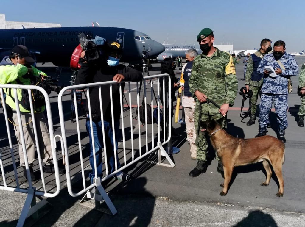 Sedena resguardando junto con perros entrenados la zona del rescate de los mexicanos de Ucrania/ Presidencia