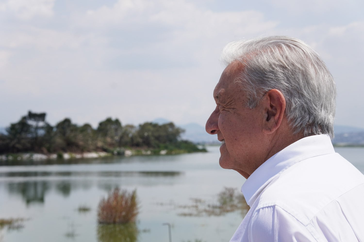 AMLO