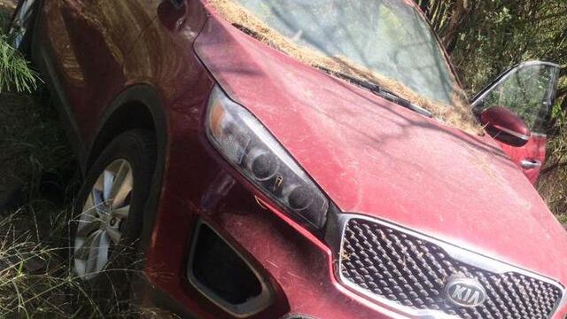 Los automotores se encontraron abandonados, escondidos entre la vegetación a un lado de una brecha poco transitada de esta frontera.