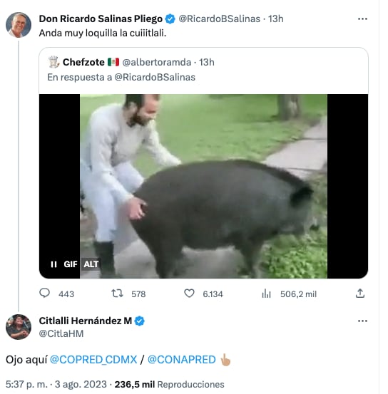 Ricardo Salinas Pliego y Citlalli Hernández