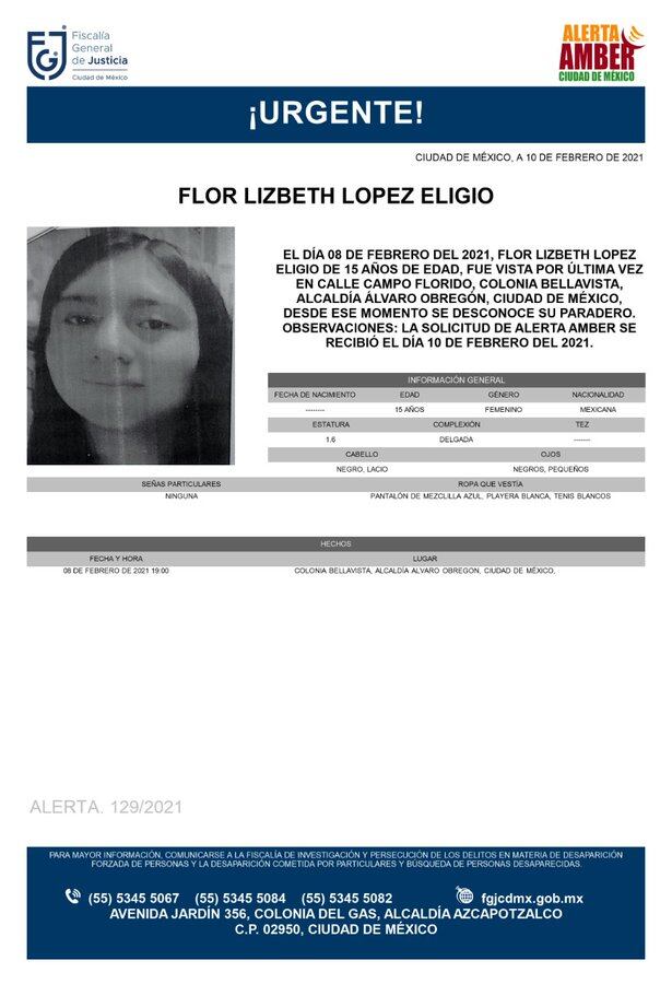 Ficha de búsqueda de Flor