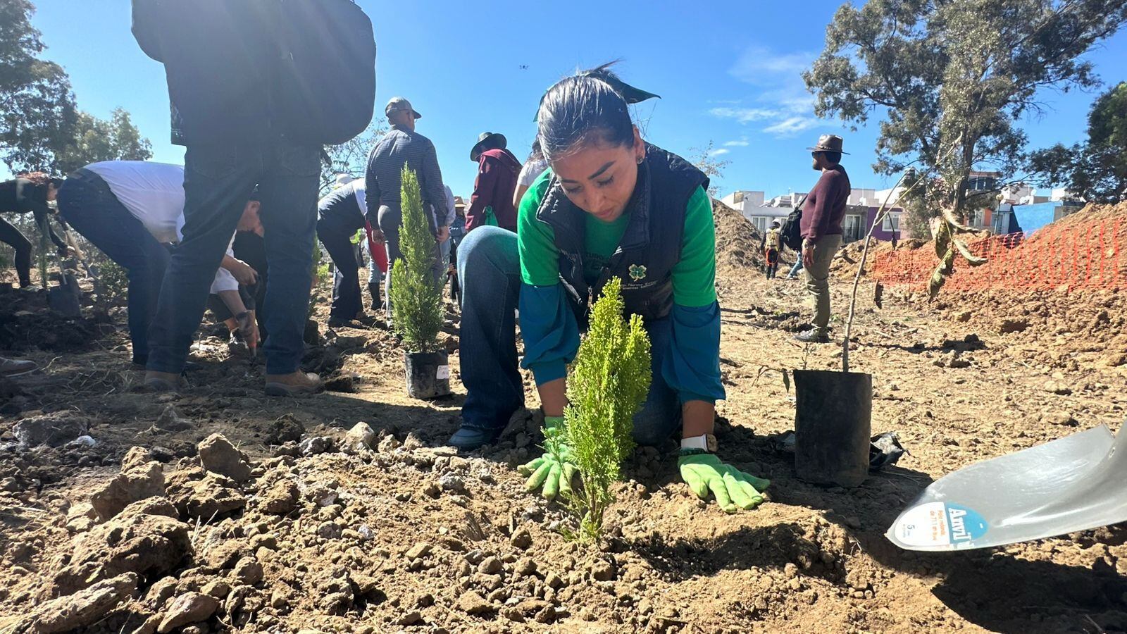 Norma Pimentel encabeza campaña de reforestación en Cuautlancingo