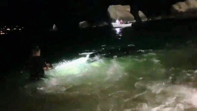 Rescatan a cría de ballena