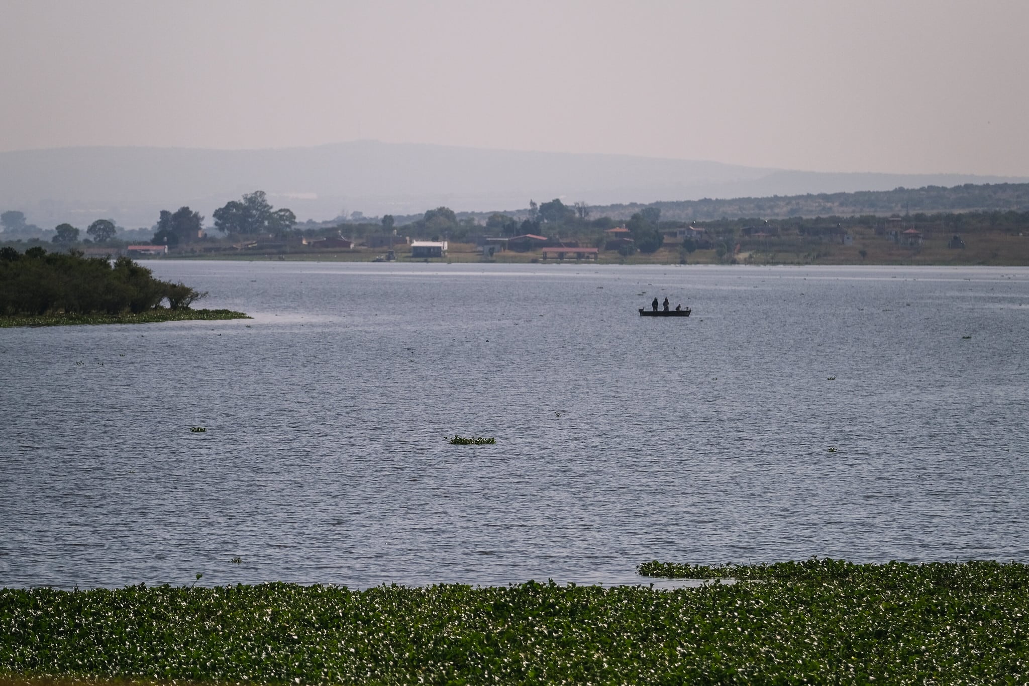 Presa