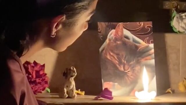 Gatito visita a su familia en Día de Muertos