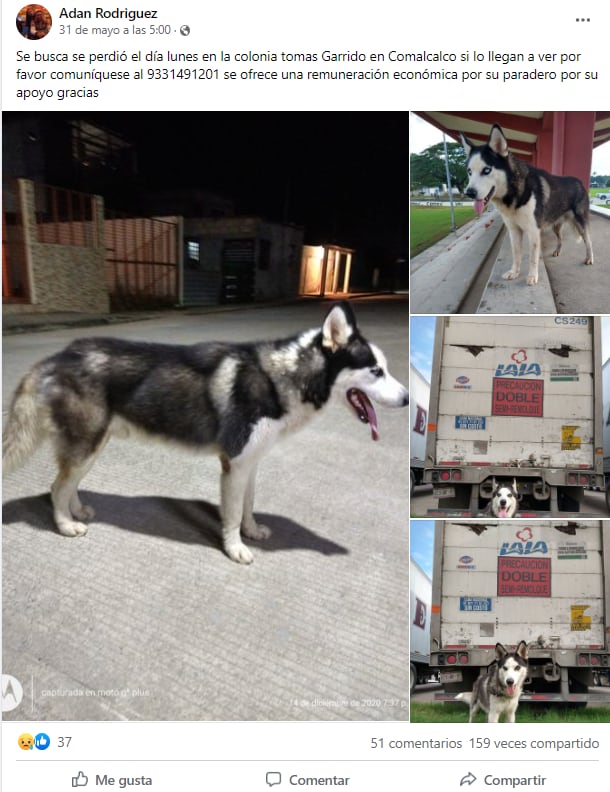 Ofrece dinero a quien le devuelva a su perro