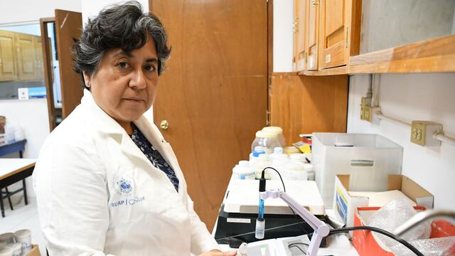 BUAP investiga la contaminación del maíz