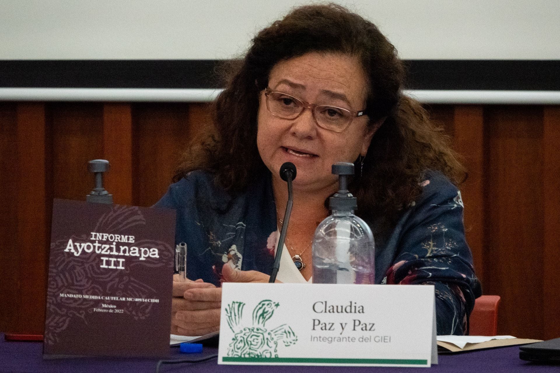 Claudia Paz y Paz, esperta del GIEI