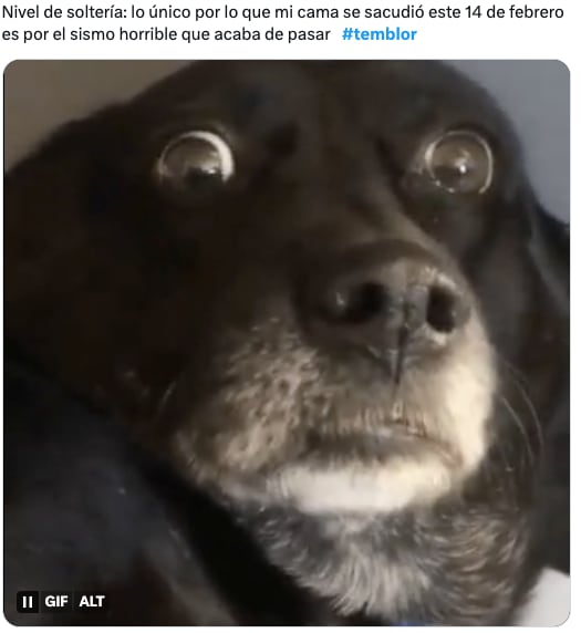 Memes del sismo en CDMX este 14 de febrero