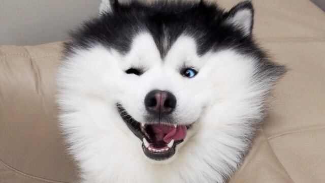 ¡Simplemente adorable!