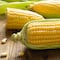 Todos contra México: Canadá se une a Estados Unidos contra prohibición del maíz transgénico en las tortillas
