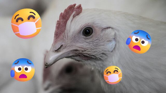 Mutación de gripe aviar en Estados Unidos.