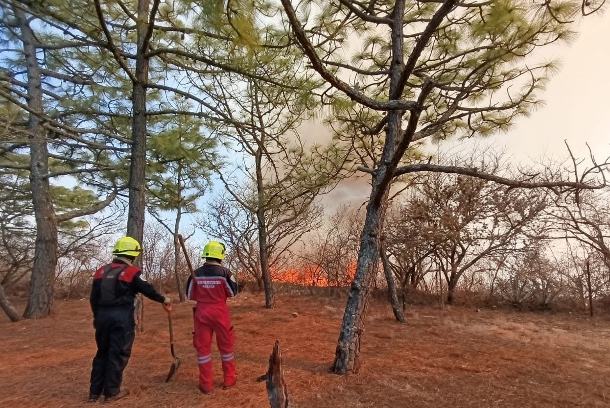 ¿Qué pasó en Monte Albán? Incendio afecta 30 hectáreas de la zona