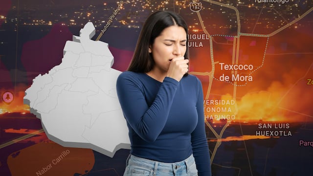 La CAME dijo que el incendio en Texcoco influyó en la decisión para que continúe la Fase 1 de Contingencia Ambiental por mala calidad del aire