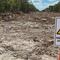 Tren Maya: estudio de impacto ambiental del tramo 5 contiene información falsa y superficial, acusan