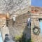 VIDEO: El perrito que hace parkour sí existe y TikTok está fascinado porque parece inmortal