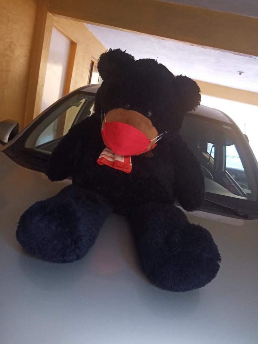 Osito de peluche viaja como copiloto en Uber