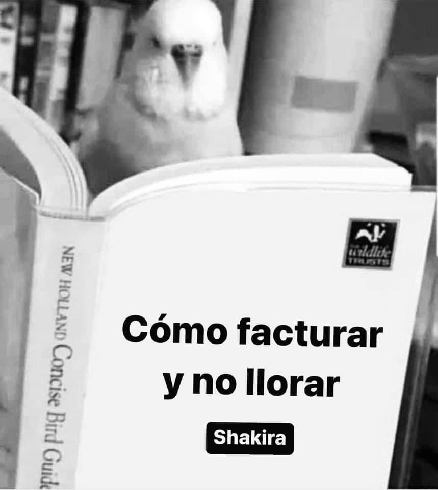 Meme de Shakira vs Clara Chia y Gerard Piqué tras la Music Session #53 con BZRP