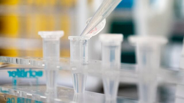 Investigan coronavirus
