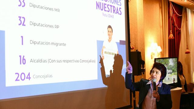 Patricia Avendaño Durán, consejera presidenta del IECM