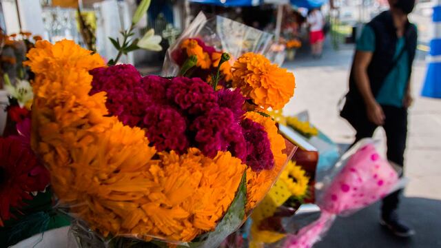 Día de Muertos desde casa.