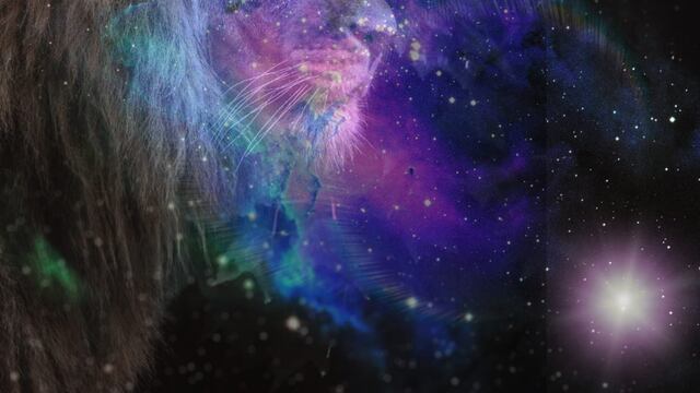 El Portal del León o 8 8 2023 ya está abierto