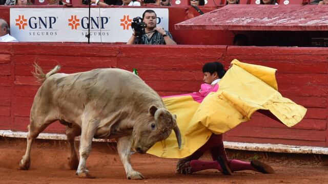 Toros