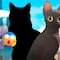 FOTOS: El gato real que inspiró Flow ya habría sido revelado y su color te va a sorprender