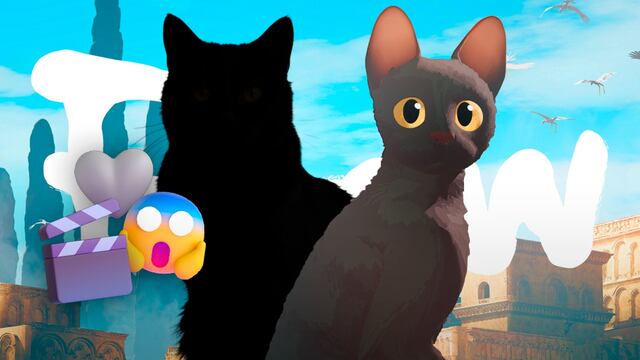 ¿El gato de Flow no es de color negro?