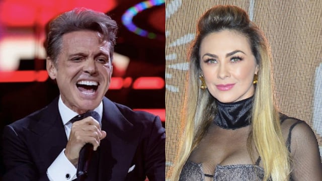 Luis Miguel / Aracely Arámbula