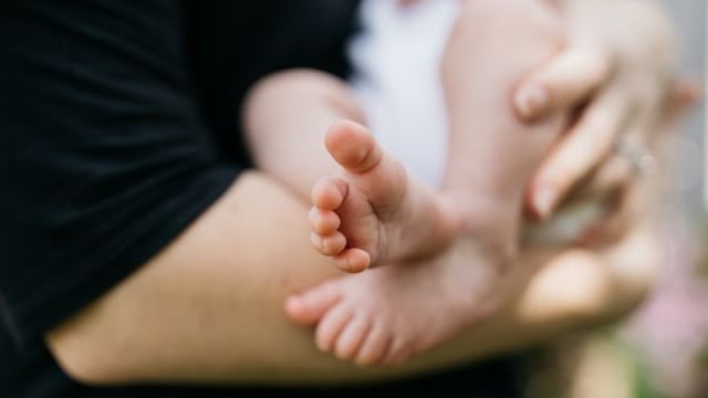 bebe