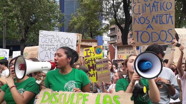 Manifestación contra la crisis ambiental.